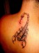 tattoo_skorpion1s